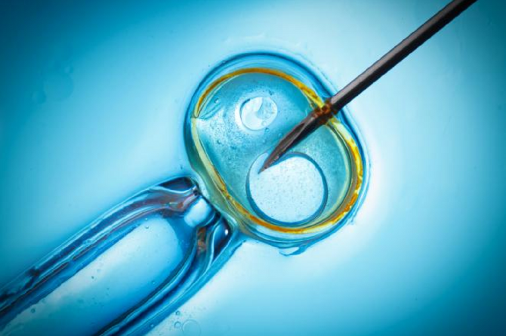 Allied market research says that global IVF Service Market will boost 25.56 Billion Dollar in 2026 from 12.5 Billion Dollar in Year 2018