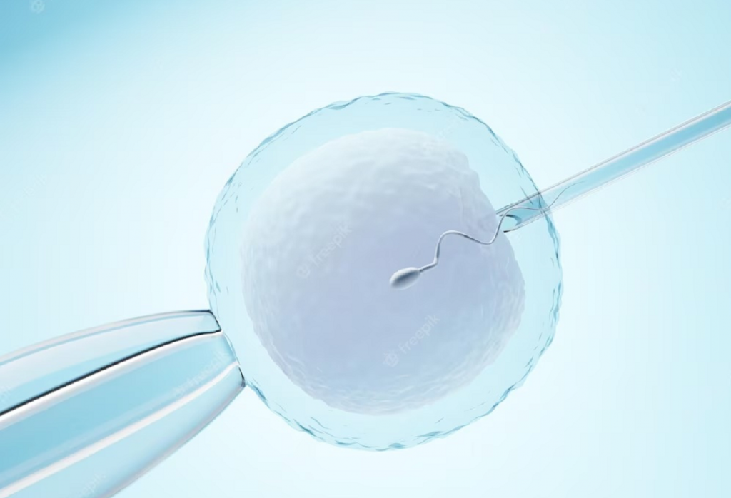 A 33 year old Indian origin Swiss woman wins damages for IVF negligence at Bengaluru hospita